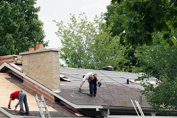 Best Shingle Roofing Installation  in Nikiski, AK