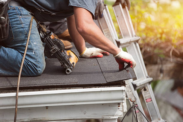 Best Roof Gutter Cleaning  in Nikiski, AK